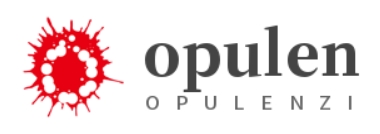 Opulenzi Store